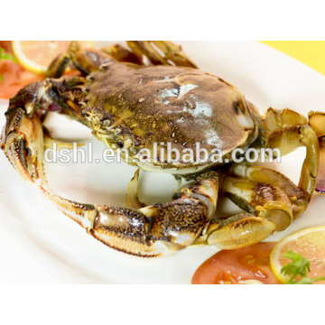 frozen cut crab sand crab blue crab in sale